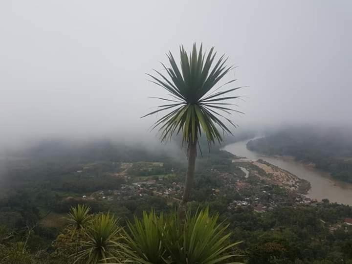 Lattanavongsa Guesthouse Muang Ngoi Eksteriør bilde