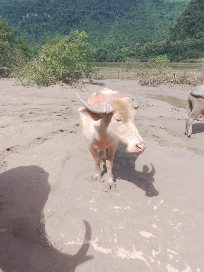 Lattanavongsa Guesthouse Muang Ngoi Eksteriør bilde